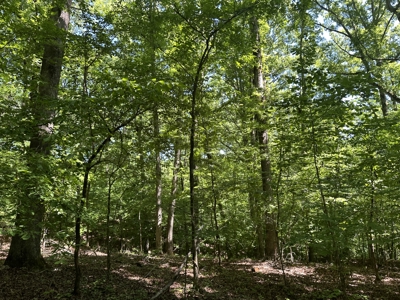 Benton Residential Land for Sale! - image 2