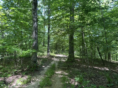 Benton Residential Land for Sale! - image 3