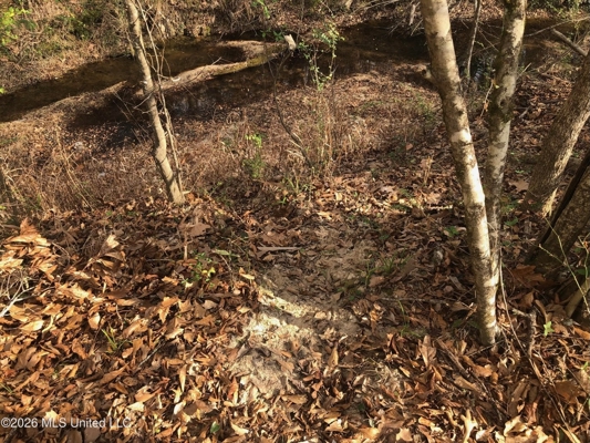 88.5 acres Hunting & Timber Land for Sale in Utica, Ms