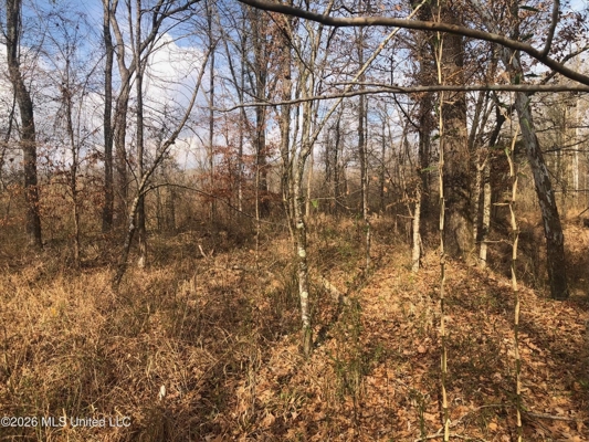 88.5 acres Hunting & Timber Land for Sale in Utica, Ms