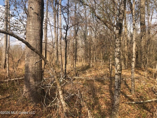 88.5 acres Hunting & Timber Land for Sale in Utica, Ms