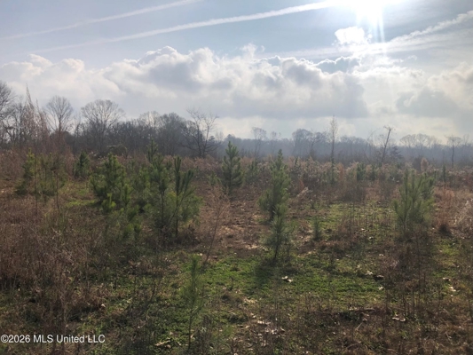 88.5 acres Hunting & Timber Land for Sale in Utica, Ms