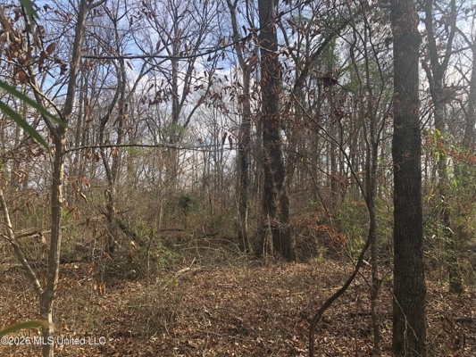 88.5 acres Hunting & Timber Land for Sale in Utica, Ms