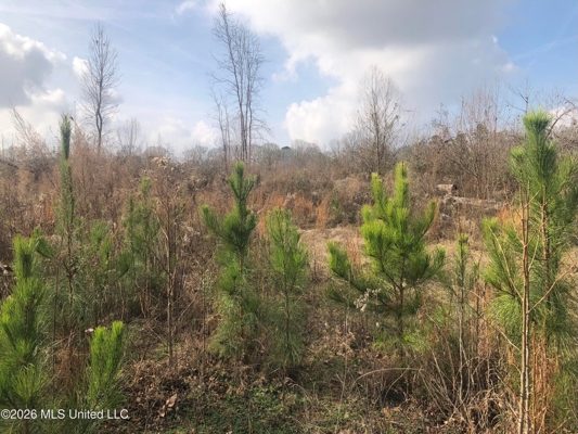 88.5 acres Hunting & Timber Land for Sale in Utica, Ms