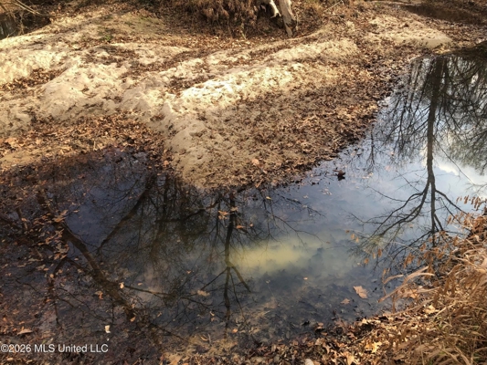 88.5 acres Hunting & Timber Land for Sale in Utica, Ms