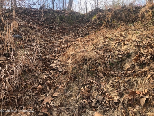 88.5 acres Hunting & Timber Land for Sale in Utica, Ms