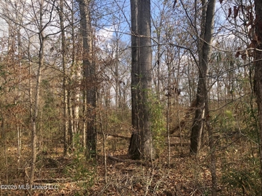 Listing 123