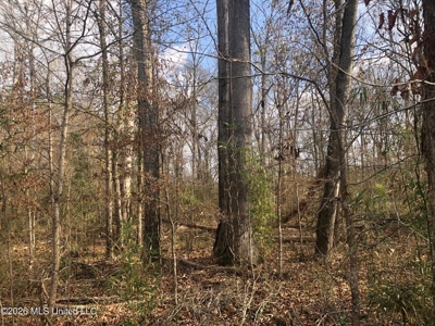 88.5 acres Hunting & Timber Land for Sale in Utica, Ms - image 22