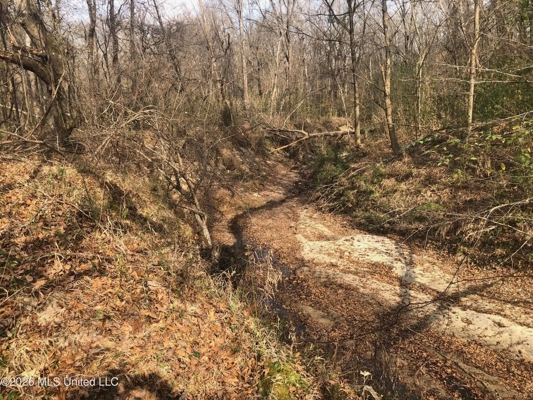 88.5 acres Hunting & Timber Land for Sale in Utica, Ms