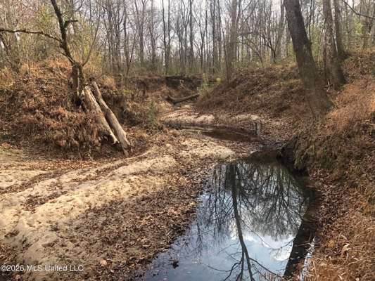 88.5 acres Hunting & Timber Land for Sale in Utica, Ms