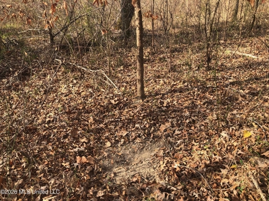 88.5 acres Hunting & Timber Land for Sale in Utica, Ms