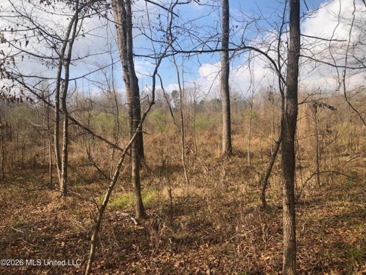 88.5 acres Hunting & Timber Land for Sale in Utica, Ms