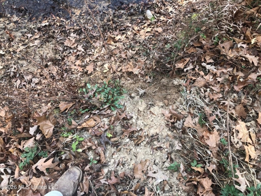 88.5 acres Hunting & Timber Land for Sale in Utica, Ms
