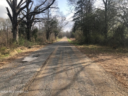 88.5 acres Hunting & Timber Land for Sale in Utica, Ms