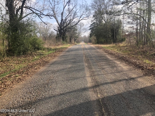 88.5 acres Hunting & Timber Land for Sale in Utica, Ms