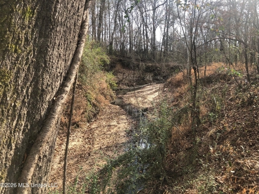 88.5 acres Hunting & Timber Land for Sale in Utica, Ms