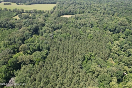 44 Acre Hunting Land in Wilkinson County, MS - image 14