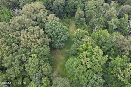 44 Acre Hunting Land in Wilkinson County, MS - image 5