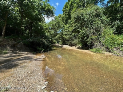 44 Acre Hunting Land in Wilkinson County, MS - image 29