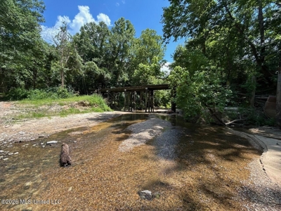 44 Acre Hunting Land in Wilkinson County, MS - image 28