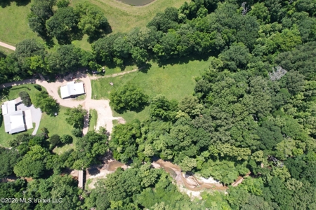 44 Acre Hunting Land in Wilkinson County, MS - image 18