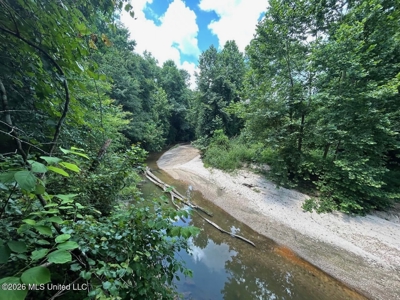 44 Acre Hunting Land in Wilkinson County, MS - image 26