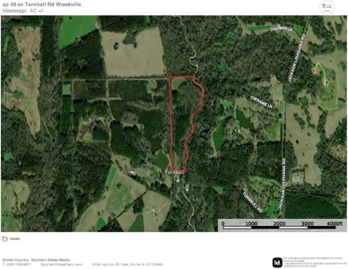 44 Acre Hunting Land in Wilkinson County, MS - image 31