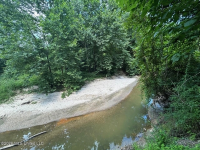 44 Acre Hunting Land in Wilkinson County, MS - image 27