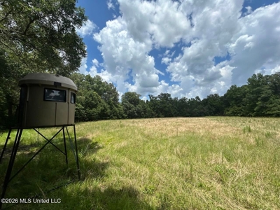 44 Acre Hunting Land in Wilkinson County, MS - image 23