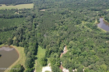 44 Acre Hunting Land in Wilkinson County, MS - image 17