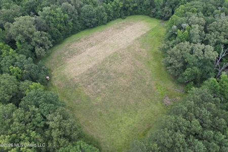 44 Acre Hunting Land in Wilkinson County, MS - image 6