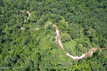 44 Acre Hunting Land in Wilkinson County, MS - image 13
