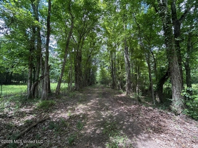 44 Acre Hunting Land in Wilkinson County, MS - image 20