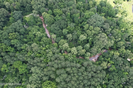 44 Acre Hunting Land in Wilkinson County, MS - image 8