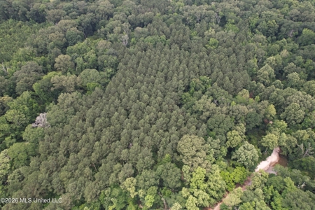 44 Acre Hunting Land in Wilkinson County, MS - image 4
