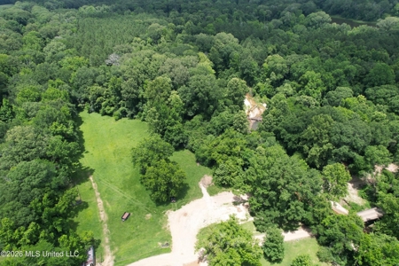 44 Acre Hunting Land in Wilkinson County, MS - image 2