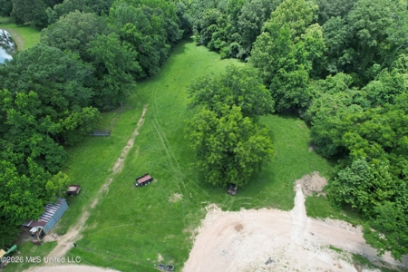 44 Acre Hunting Land in Wilkinson County, MS - image 1