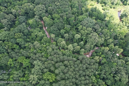 44 Acre Hunting Land in Wilkinson County, MS - image 7