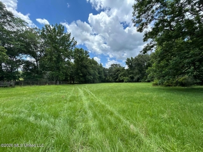 44 Acre Hunting Land in Wilkinson County, MS - image 19