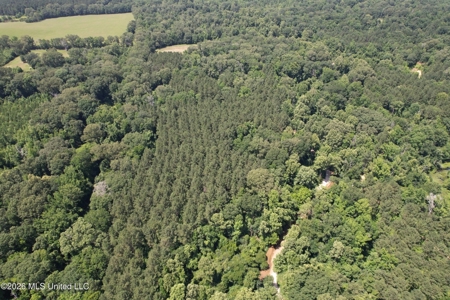 44 Acre Hunting Land in Wilkinson County, MS - image 15
