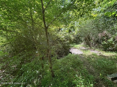 44 Acre Hunting Land in Wilkinson County, MS - image 21