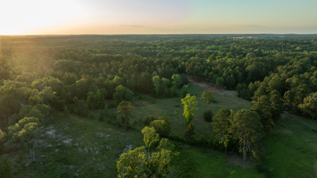 27.5 Acres Pineywoods Ranch and Homestead Near Arp Texas - image 4