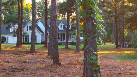 27.5 Acres Pineywoods Ranch and Homestead Near Arp Texas - image 14