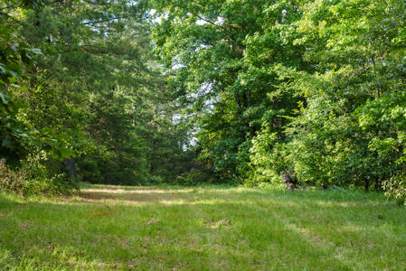 27.5 Acres Pineywoods Ranch and Homestead Near Arp Texas - image 6