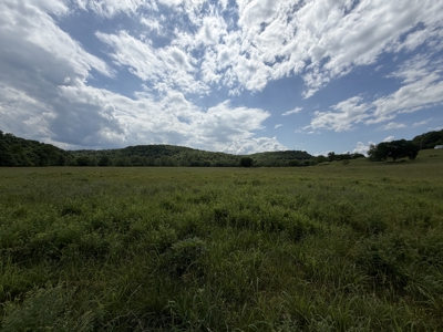 Large Acreage Farm For Sale in the MO Ozarks with Timber, Pasture - image 31