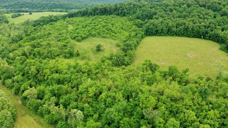 Large Acreage Farm For Sale in the MO Ozarks with Timber, Pasture - image 24