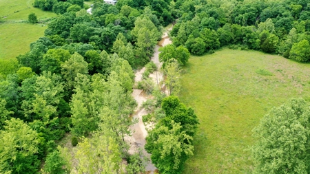 Large Acreage Farm For Sale in the MO Ozarks with Timber, Pasture - image 37