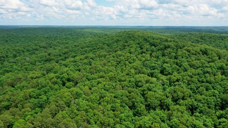 Large Acreage Farm For Sale in the MO Ozarks with Timber, Pasture - image 39