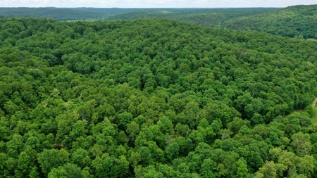 Large Acreage Farm For Sale in the MO Ozarks with Timber, Pasture - image 16