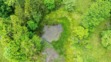 Large Acreage Farm For Sale in the MO Ozarks with Timber, Pasture - image 38